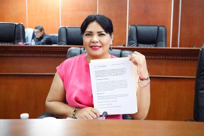 PLANTEA MONTSE MURILLO UNA REFORMA A LA LEY DE DESARROLLO SOCIAL.lasnoticias.info