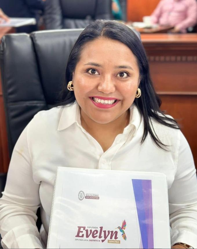 EXHORTA CONGRESO A PROMOVER MEJORA Y MANTENIMIENTO DE PUENTES PEATONALE.lasnoticias.info