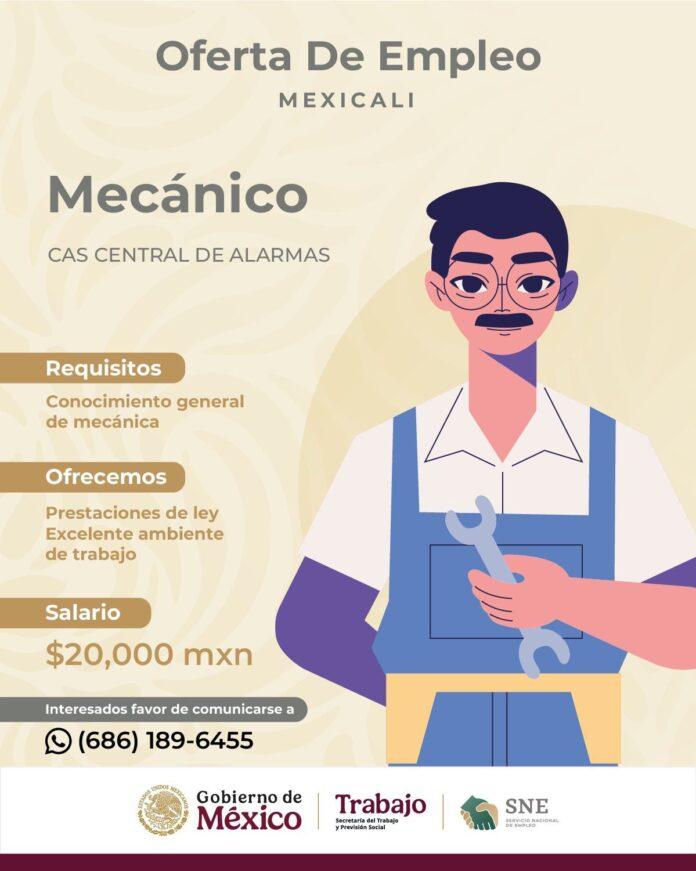 IMPULSA STPS NUEVAS OPORTUNIDADES DE EMPLEO EN MEXICALI.lasnoticias.info