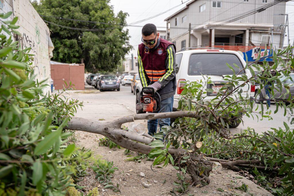 Continua Gobierno Municipal transformando las colonias con el programa ˈTijuana Ciudad Limpia’.lasnoticias.info