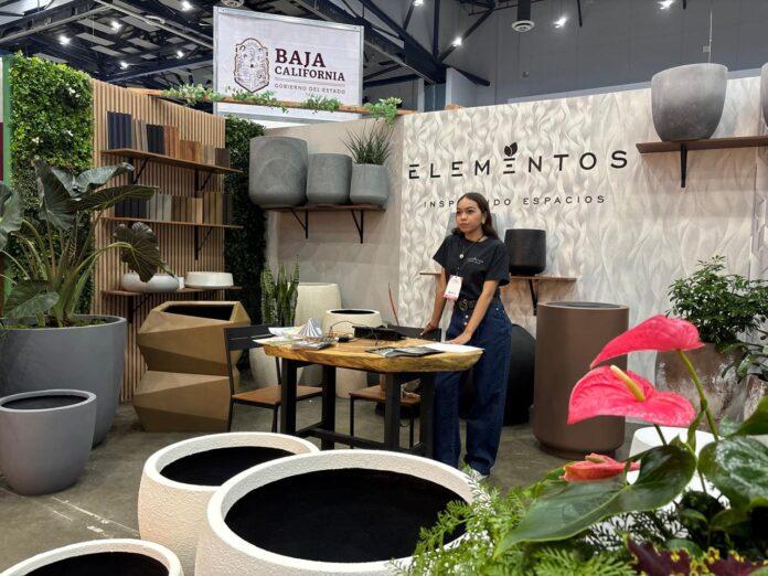 IMPULSA GOBIERNO DEL ESTADO A MIPYMES CREATIVAS EN LA OCTAVA EDICIÓN DE EXPOMUEBLE BAJA CALIFORNIA.lasnoticias.info