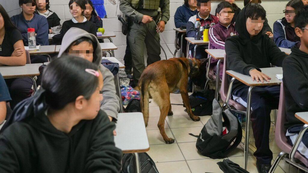 Previene SSPCM incidentes escolares a través de programa preventivo "Inspección de Pertenencias" beneficiando a más de 14 mil alumnos.lasnoticias.info