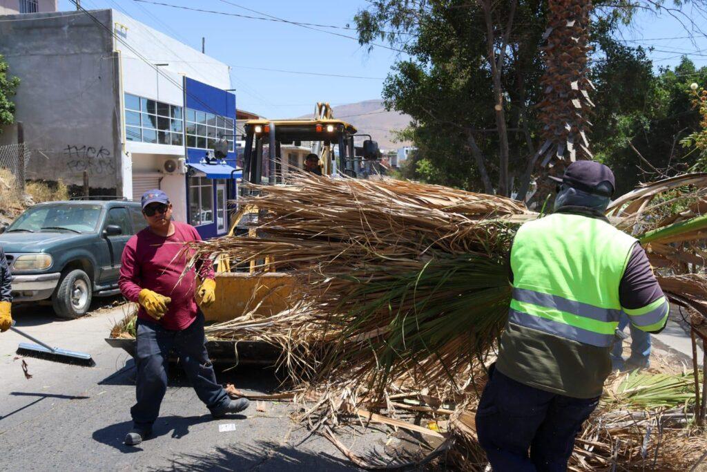 Genera 'Tijuana Ciudad Limpia' obras de gran impacto en beneficio de 24 mil personas.lasnoticias.info