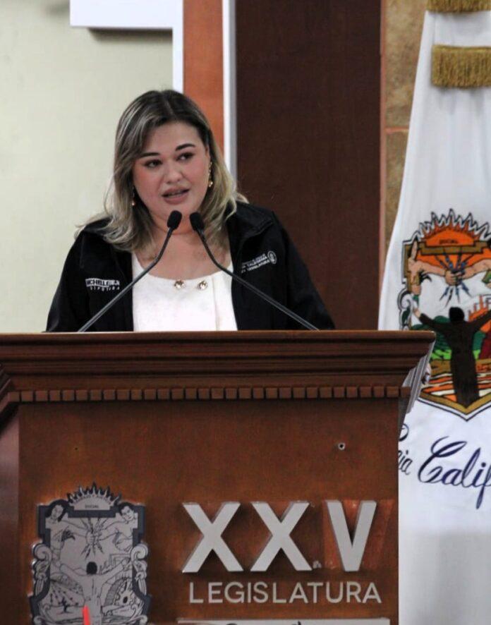 HABLAR DE LA SALUD MENTAL ES HABLAR DE DERECHOS HUMANOS: DIPUTADA MICHELLE TEJEDA.lasnoticias.info
