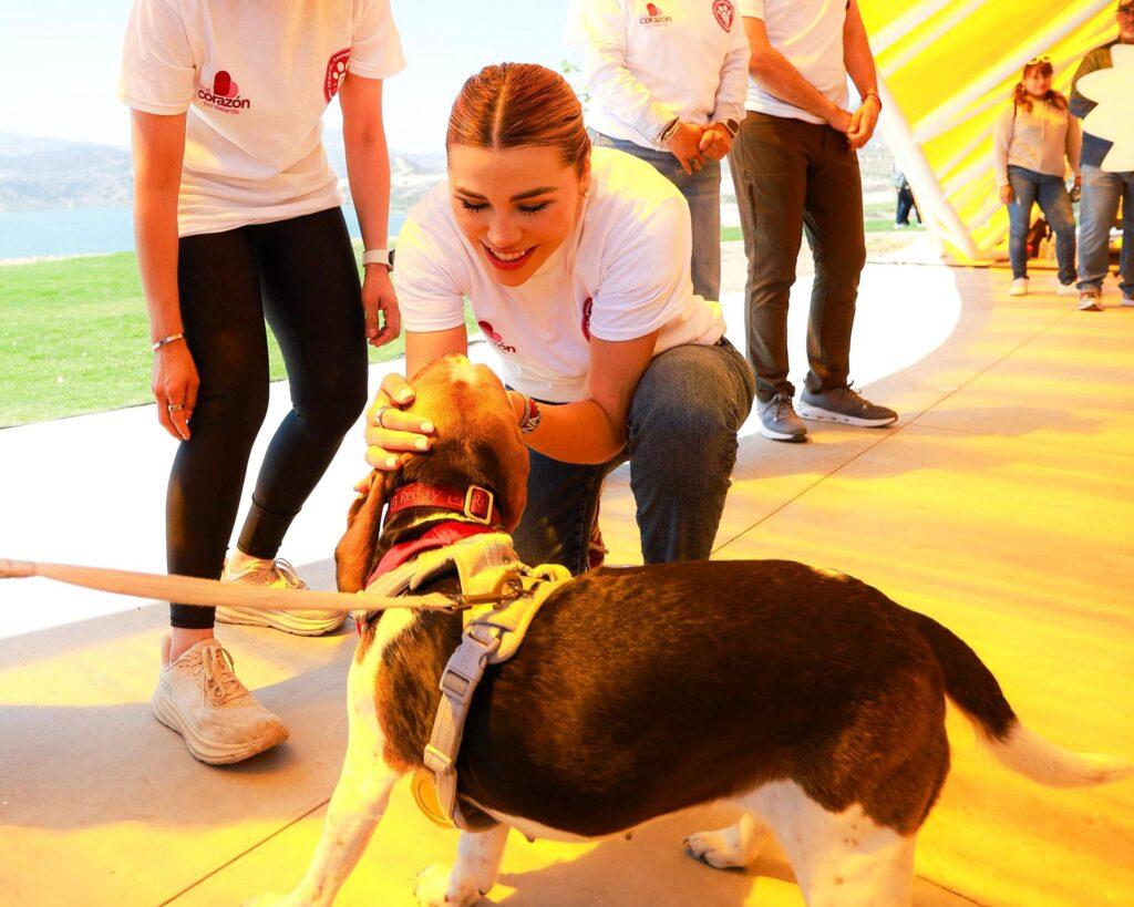 *GOBIERNO DE MARINA DEL PILAR MARCA RUTA PARA UNA POLÍTICA DE PROTECCIÓN ANIMAL EN BAJA CALIFORNIA.lasnoticias.info
