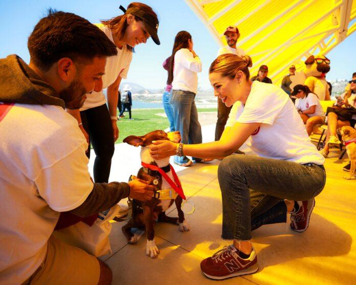 *GOBIERNO DE MARINA DEL PILAR MARCA RUTA PARA UNA POLÍTICA DE PROTECCIÓN ANIMAL EN BAJA CALIFORNIA.lasnoticias.info
