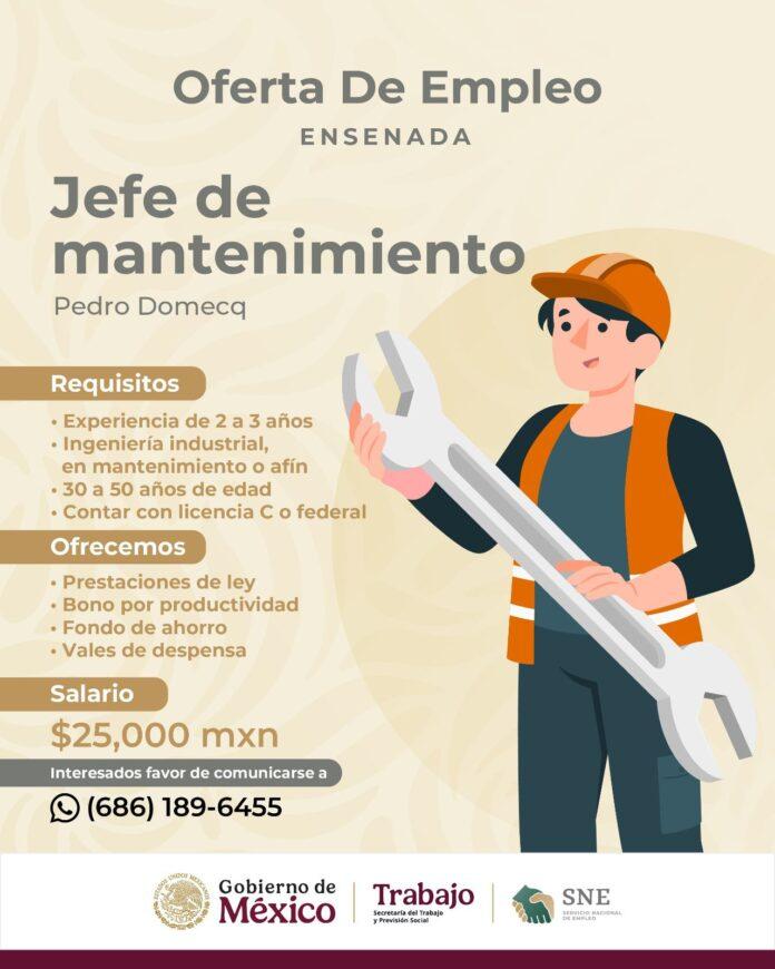 PROMUEVE STPS NUEVAS VACANTES PARA PROFESIONALES Y TÉCNICOS EN ENSENADA.lasnoticias.info