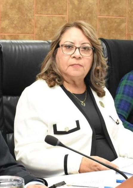 PRESUPUESTO DESTINADO A LA NIÑEZ, ESENCIAL PARA GARANTIZAR LA PROTECCIÓN DE SUS DERECHOS: DIP. GLORIA MIRAMONTES.lasnoticias.info