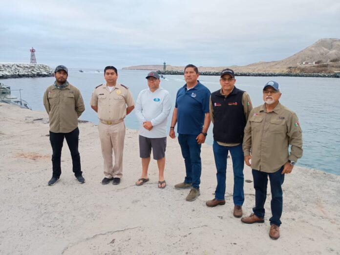 HUBO INTENSA ACTIVIDAD EN TORNEOS DE PESCA DEPORTIVA EN ISLA DE CEDROS Y SAN QUINTÍN.lasnoticias.info