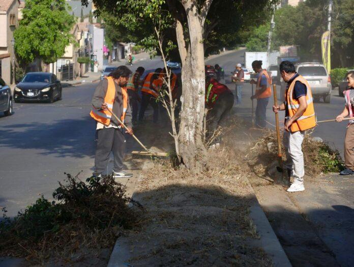 Continúa XXV Ayuntamiento de Tijuana acciones de limpieza y recuperación de espacios públicos en beneficio de cerca de 18 mil personas