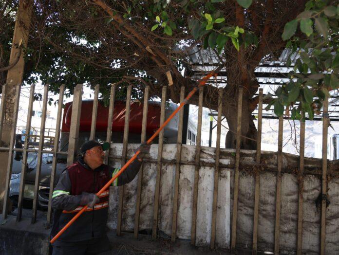 Mejora XXV Ayuntamiento de Tijuana imagen urbana en varias colonias de la ciudad
