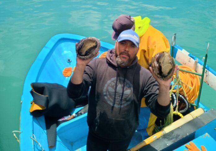 RECONOCE SEPESCA BC EL ESFUERZO PESQUERO SOCIAL Y SUSTENTABLE DE LA COOPERATIVA PNA EN ISLA DE CEDROS.lasnoticias.info