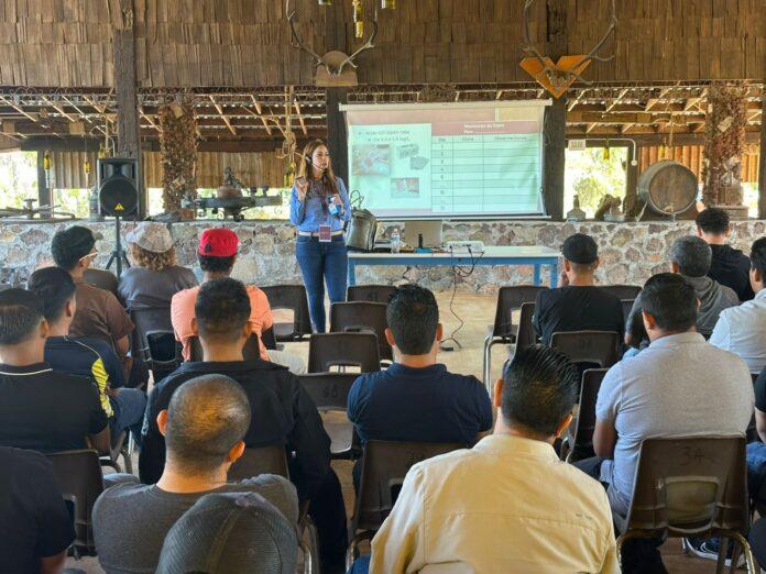 FORTALECEN LA SEGURIDAD ALIMENTARIA EN ROSARITO: 60 EMPLEADOS DE RESTAURANTES RECIBEN CAPACITACIÓN EN INOCUIDAD.lasnoticias.info