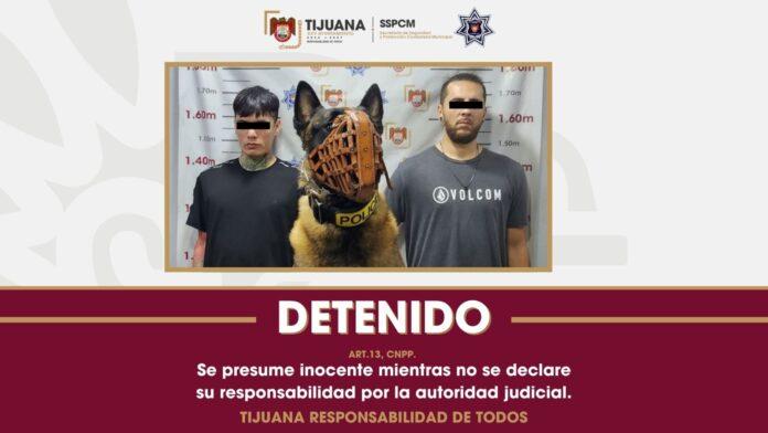 Detecta agente canino “Willie” droga en vehículo durante patrullajes preventivos en la colonia Lázaro Cárdenas