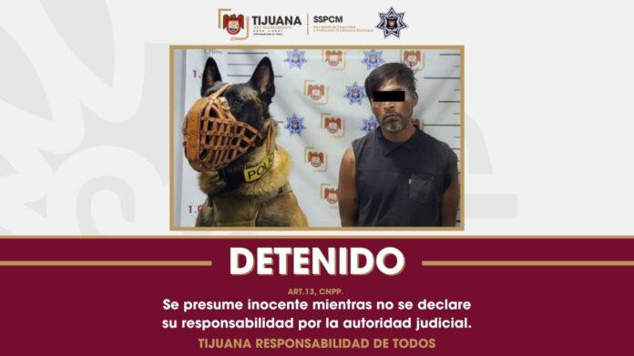 Asegura Policía Municipal de Tijuana a hombre armado que amenazaba a su familiar en Valle San Pedro