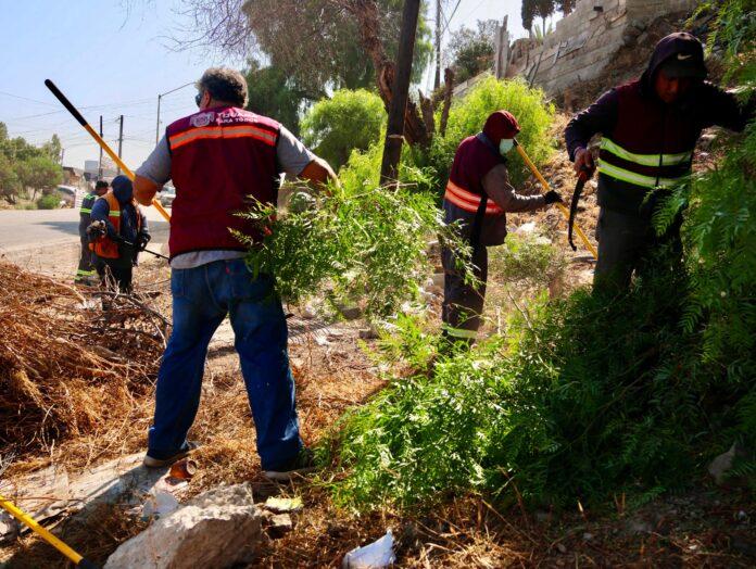 Refuerza Gobierno Municipal acciones de dignificación de entornos a través de 'Tijuana: Ciudad Limpia'