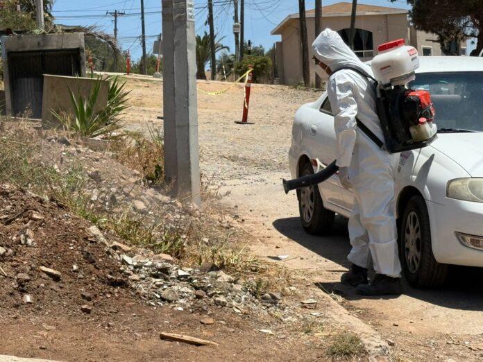 IMPORTANTE SEGUIR RECOMENDACIONES PARA ELIMINAR AL MOSQUITO TRANSMISOR DEL DENGUE. lasnoticias.info