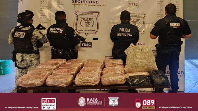 LOCALIZA FUERZA ESTATAL CARGAMENTO DE MARIHUANA TRAS DENUNCIA CIUDADANA EN TIJUANA. lasnoticias.info