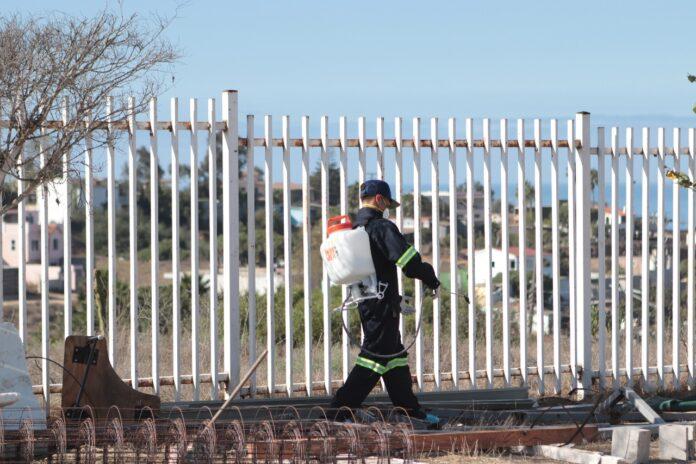 ARRANCA SECRETARÍA DE EDUCACIÓN Y X AYUNTAMIENTO CAMPAÑA DE FUMIGACIÓN MASIVA EN PLANTELES DE ROSARITO.lasnoticias.info