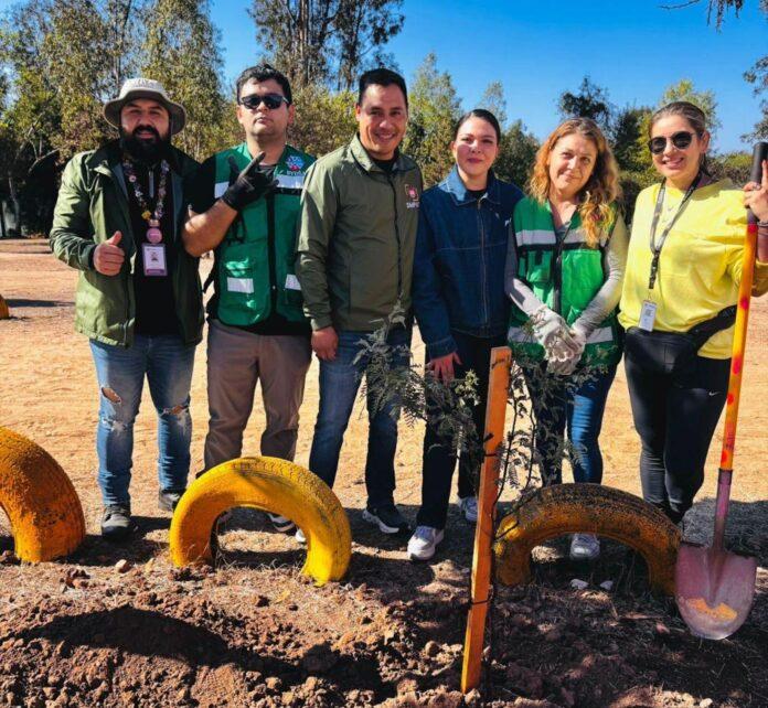 Reforesta Gobierno Municipal Parque de la Amistad con especies nativas
