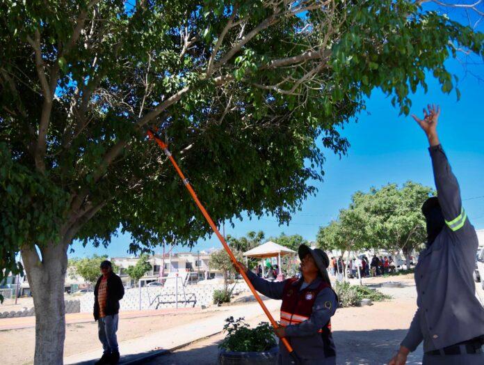 Impacta Gobierno Municipal de Tijuana a cerca de 6 mil personas con jornadas de limpieza en dos delegaciones