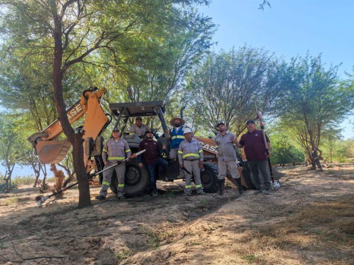REALIZA CESPM JORNADA DE PODA EN EL ÁREA FORESTADA DE LA PLANTA DE TRATAMIENTO LAS ARENITAS.lasnoticias.info REALIZA CESPM JORNADA DE PODA EN EL ÁREA FORESTADA DE LA PLANTA DE TRATAMIENTO LAS ARENITAS.lasnoticias.info