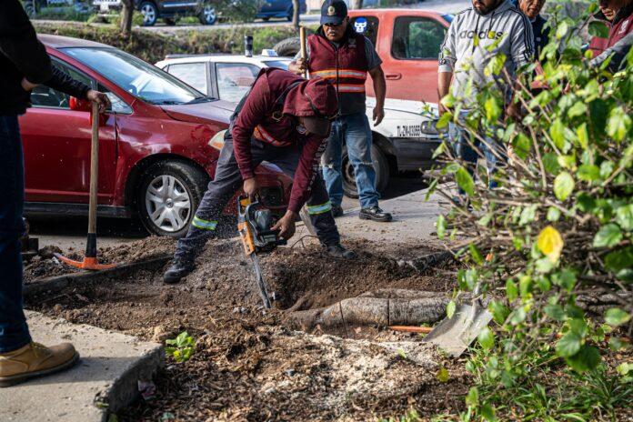 Impacta Gobierno Municipal a más de 4 mil 500 tijuanenses con acciones de mejoramiento urbano