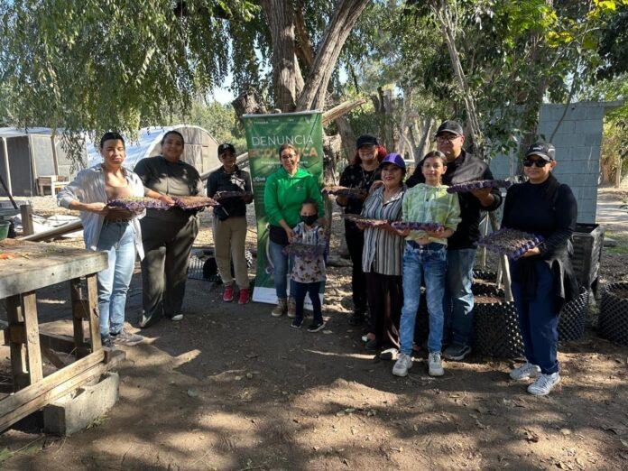 Promueve Gobierno de Tijuana talleres de Huertos y Jardines Polinizadores