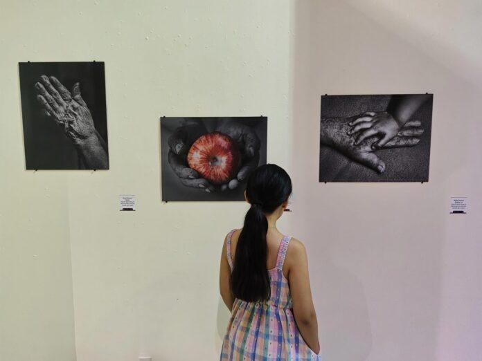 CULTURA BC MANTIENE ABIERTAS EXPOSICIONES PARA EL PÚBLICO EN MEXICALI.lasnoticias.info