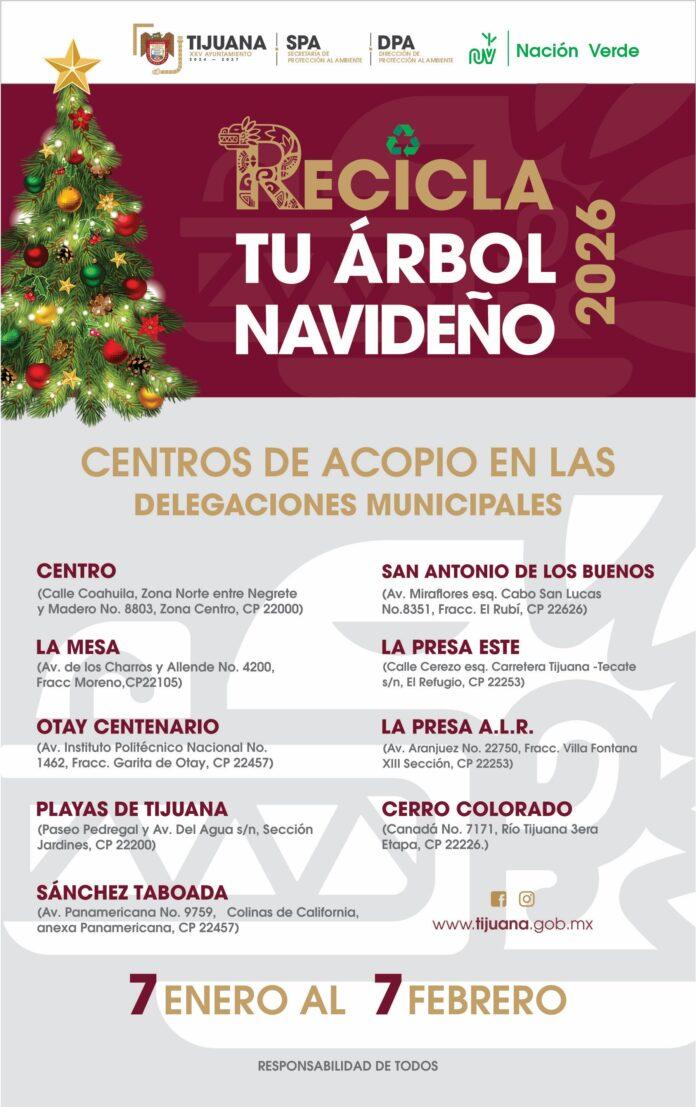 Habilita XXV Ayuntamiento de Tijuana centros de acopio de árboles de Navidad en las nueve delegaciones municipales