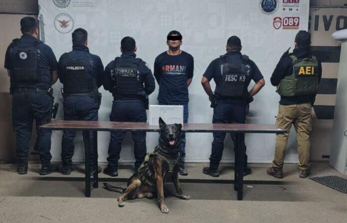 AGENTE K9 “KILO” NEUTRALIZA A SUJETO ARMADO QUE TENÍA COMO REHÉN A SU MADRE.lasnoticias.info