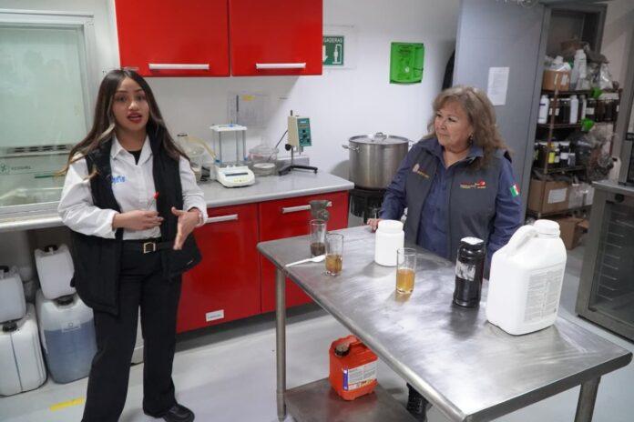 REALIZA SEPESCA VISITA ESTRATÉGICA PARA EL APROVECHAMIENTO Y TRANSFORMACIÓN DE MACROALGAS.lasnoticias.info