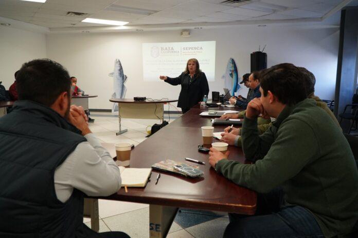 RESPALDA GOBIERNO DE MARINA DEL PILAR A LOS PESCADORES DE SARDINA.lasnoticias.info