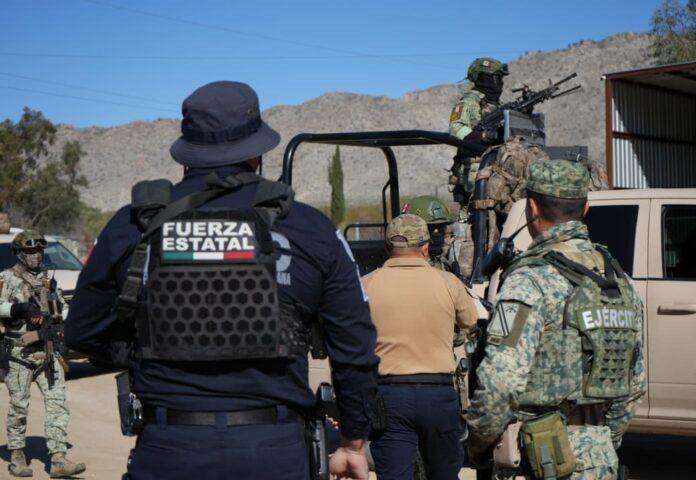 ASIENTA GOLPE CONTUNDENTE GOBIERNO DE MARINA DEL PILAR A PRODUCCIÓN DE DROGA EN BAJA CALIFORNIA