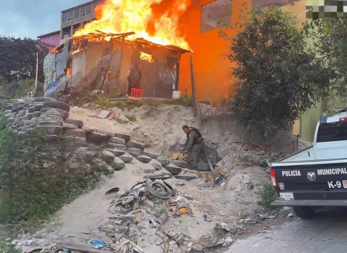 Rescata Unidad de Operaciones Caninas a dos perros durante incendio