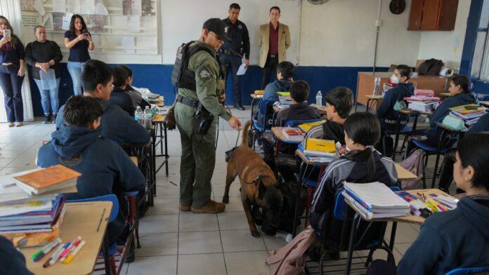 Fortalece SSPCM la prevención en escuelas con el programa 'Revisión de Pertenencias'