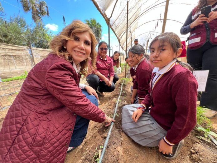 FORTALECE DIF BC HUERTOS ESCOLARES EN SAN QUINTÍN.lasnoticias.info