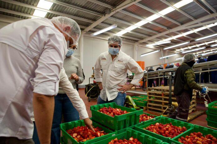 REFUERZAN GOBIERNO ESTATAL Y FEDERAL PLAN DE JUSTICIA SOCIAL EN SAN QUINTÍN