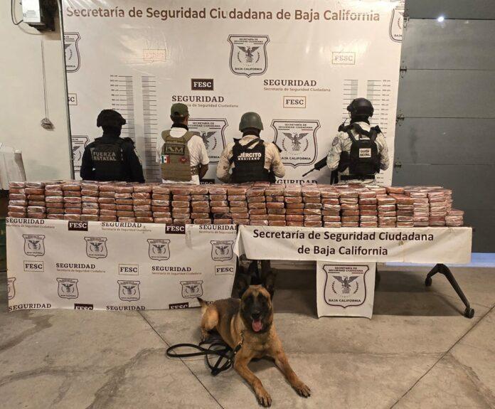 RECONOCE SSCBC LEGADO DE AGENTE CANINO 