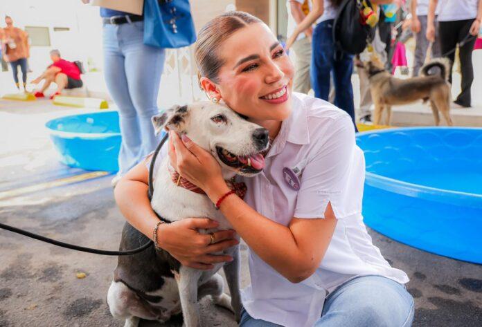 ACERCA GOBIERNO DE MARINA DEL PILAR SERVICIOS GRATUITOS PARA PERROS Y GATOS EN BAJA CALIFORNIA.lasnoticias.info