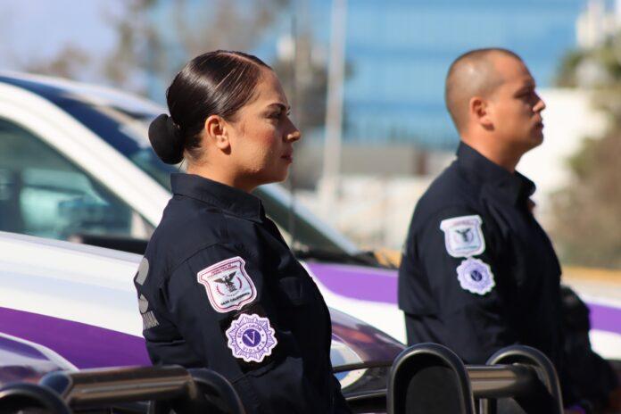 ESTRATEGIA VIOLETA: PSICOLOGÍA, PREVENCIÓN Y CONCIENCIA SOCIAL.lasnoticias.info