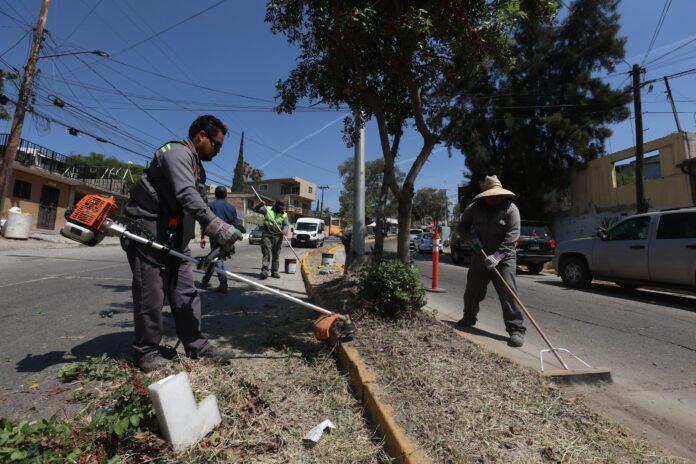 Fortalece Gobierno Municipal acciones de ‘Tijuana: Ciudad Limpia’ en la Zona Este