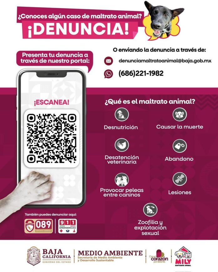 INFORMA SMADS ACCIONES ANTE REPORTES DE CRUELDAD ANIMAL.lasnoticias.info