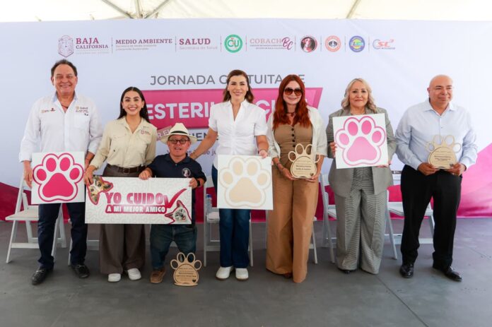 REFUERZA GOBERNADORA MARINA DEL PILAR ACCIONES DE BIENESTAR ANIMAL Y SALUD PÚBLICA EN BAJA CALIFORNIA.lasnoticias.info REFUERZA GOBERNADORA MARINA DEL PILAR ACCIONES DE BIENESTAR ANIMAL Y SALUD PÚBLICA EN BAJA CALIFORNIA.lasnoticias.info