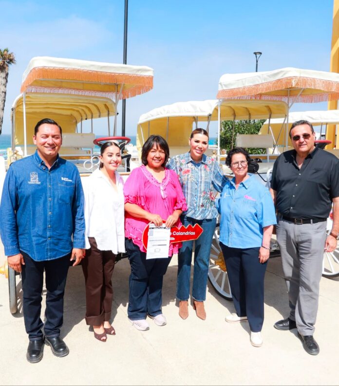 ENTREGA GOBIERNO DE BAJA CALIFORNIA CALANDRIAS ELÉCTRICAS PARA IMPULSAR EL TURISMO Y EL BIENESTAR ANIMAL EN ROSARITO.lasnoticias.info