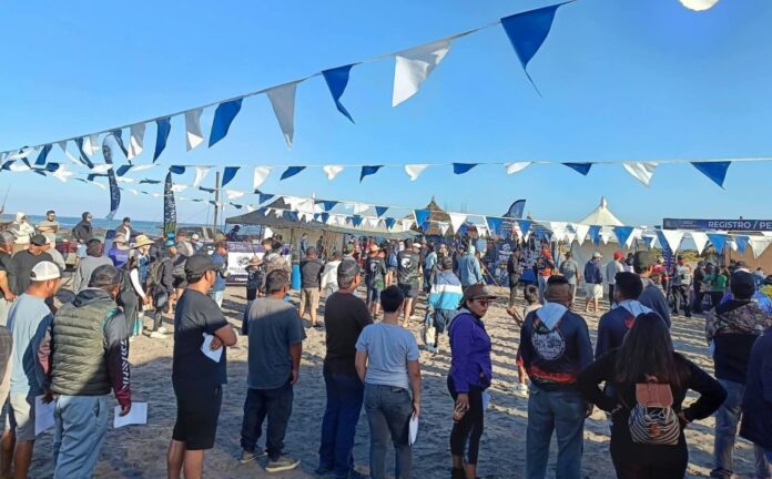 PESCA SAN QUINTÍN CONQUISTA REGISTRO HISTÓRICO EN TORNEO DE PLAYA.lasnoticias.info