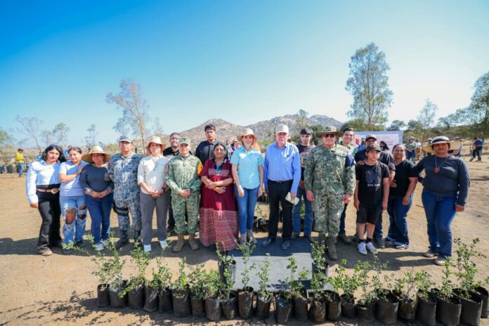 PARTICIPA BAJA CALIFORNIA EN LA JORNADA NACIONAL DE REFORESTACIÓN 2026 PARA PROTEGER Y RECUPERAR LOS ECOSISTEMAS