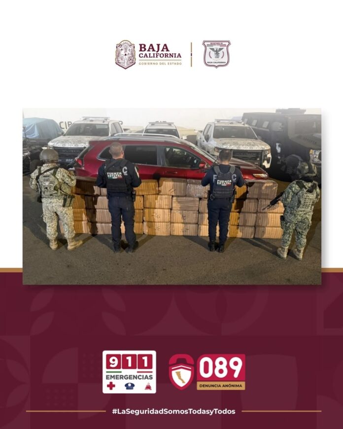 ASEGURA BASE DE OPERACIONES INTERINSTITUCIONAL 310 KILOGRAMOS DE MARIHUANA EN ENSENADA.lasnoticias.info