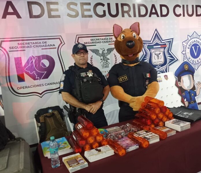 ORIENTA SSCBC A MÁS DE OCHO MIL RESIDENTES Y VISITANTES DURANTE FIESTAS DEL SOL.lasnoticias.info